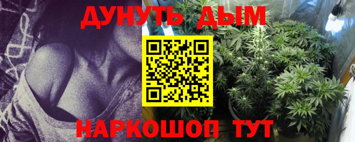 Каннабис конопля  Бошки Шишки план  Вход с VPN  Шишки марихуана планчик  Копейск  Марихуана AK-47 